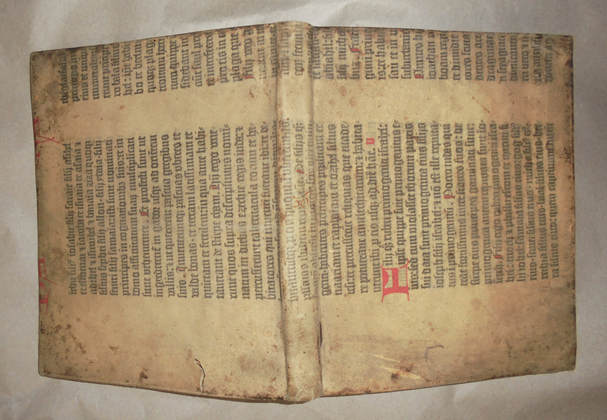 Princeton University Library Acquires a Vellum Fragment of the  Gutenberg Bible Preserved as a Book Cover