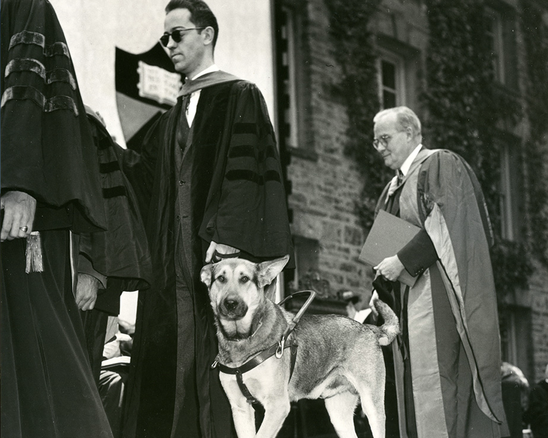 Black and white photo of Peter Putnam ’42 *50 and his guide dog Wick at Commencement, 1950. Historical Photos Collection
