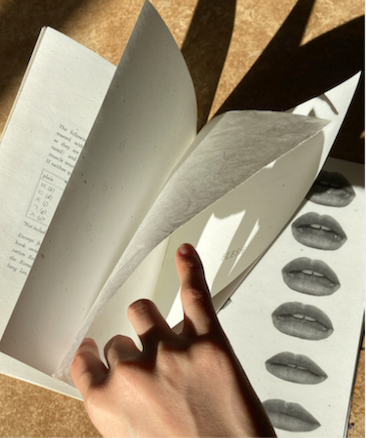 book with images of mouths