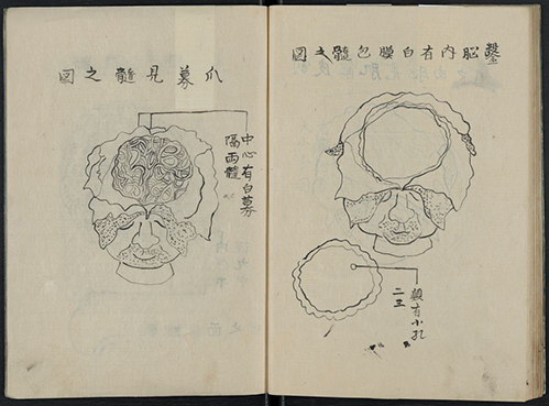 Brain anatomy as illustrated in Kaishihen.